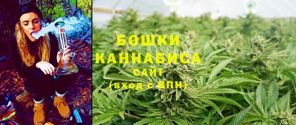 хмурый Липки