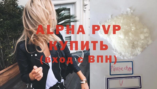 спайс Белая Холуница